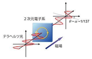 理研など 基礎物理定数 微細構造定数a を40億分の1の精度で決定 Tech