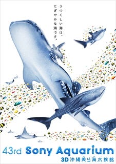 ソニービルが「沖縄美ら海水族館」に! ジンベイザメやマンタの3D映像が登場