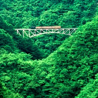 アプトライン、乗って眺めて楽しんで --大井川鐵道が路線バス&周遊券を企画