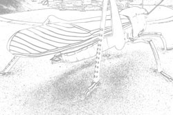 019