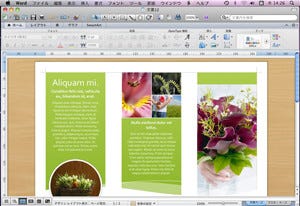 Office For Mac 11 新機能大全 第3回 表現力アップ 便利になった Word 11 2 マイナビニュース
