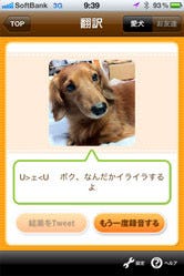 バウリンガル For Iphone 犬の気持ちが鳴き声でわかる翻訳アプリ Iphone マイナビニュース