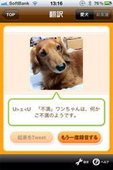 バウリンガル For Iphone 犬の気持ちが鳴き声でわかる翻訳アプリ Iphone マイナビニュース