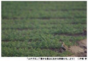 日本野鳥の会写真展「野鳥を通して見えるもの」を開催