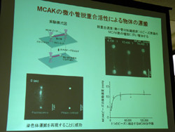 早大 微小管脱重合因子の Mcak が分子モーターであることを発見 Tech