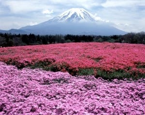 7/1に富士山山開き - 今年の夏は高速バスで行く登山ツアーで富士山に挑戦