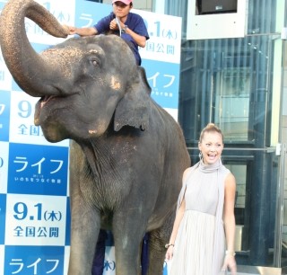 土屋アンナ、ゾウを連れて登場 -「人間ってちっちゃい生き物なんだなって」