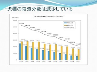 犬猫の殺処分数、前年度比で約2.6万匹減少