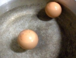 生まれかけの鶏を味わう 東南アジア名物 ヒヨコ入りゆで卵 マイナビニュース