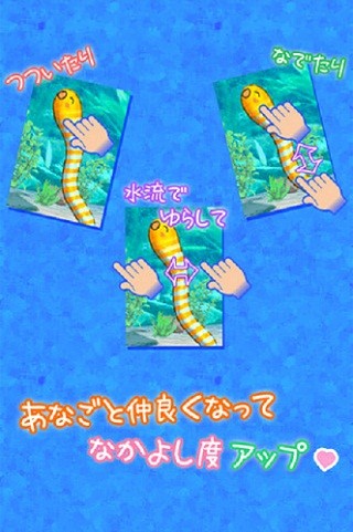 「ちんあなご」を指でいじって、つついて、育てよう！―マピオン