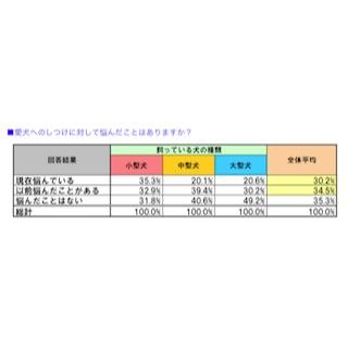 6割以上が「たたいた経験あり」-愛犬家の「しつけに対する意識」調査