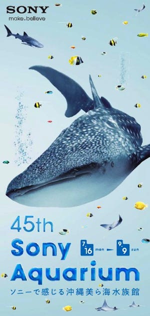 沖縄「美ら海」が今年も銀座にやってきた! -「45th Sony Aquarium」開催
