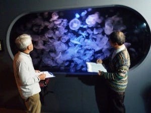 ギネス認定! 山形県加茂水族館クラゲ展示数記録
