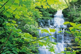 Thinkstock が毎週提供する無料イメージ 今週は緑豊かな 渓流の風景 マイナビニュース