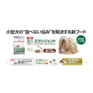 小型犬の"食べない悩み"を解決する新フード「ミニ エクシジェント」発売