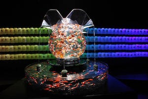 水族館とアートの融合、金魚のアート水族館 「アートアクアリウム展」開催