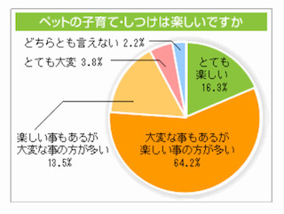 ペットの子育て・しつけは「楽しい」が8割以上～「ペットとの暮らし」調査