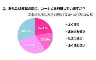 ここは一体どこ?　カーナビ利用者の半数に「到着地点が違う」経験あり