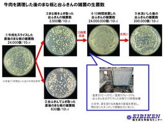 衛生微生物研究センター、夏の雑菌繁殖率を調査