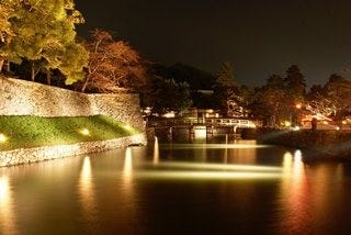 滋賀県彦根市で彦根城ライトアップ ひこね夢灯路 開催 マイナビニュース