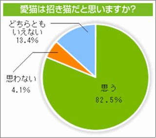 わが家の愛猫は幸運を招く?! 「招き猫の日」調査を実施 -アニコム損害保険