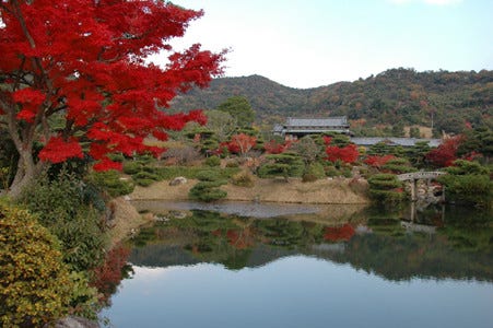 山口県防府市の 毛利氏庭園 は国の名勝にも選ばれる紅葉名所 マイナビニュース