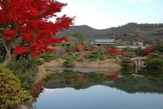 山口県防府市の「毛利氏庭園」は国の名勝にも選ばれる紅葉名所