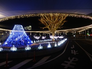 山梨県甲斐市、竜王駅のイルミネーションは森の木漏れ日のような美しさ!