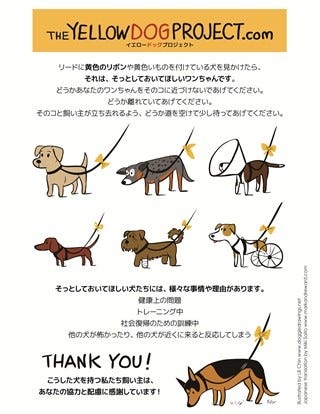 黄色いリボンをつけた犬に近づいてはいけない理由 マイナビニュース