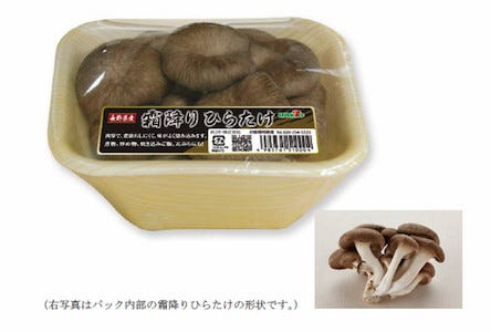 ホクト 肉厚で形が崩れにくい新品種きのこ 霜降りひらたけ を開発 マイナビニュース