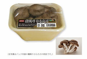 ホクト、肉厚で形が崩れにくい新品種きのこ「霜降りひらたけ」を開発