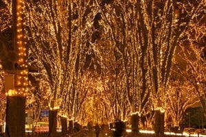 宮城県仙台市が支援の光に包まれる、「SENDAI光のページェント」開催