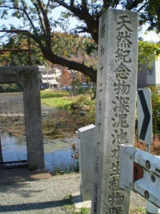 タクシーも避ける!?　京都府にある「深泥池」は有名な心霊スポット