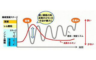 仕事・勉強・スポーツのパフォーマンスを高める「睡眠術」とは? - 味の素