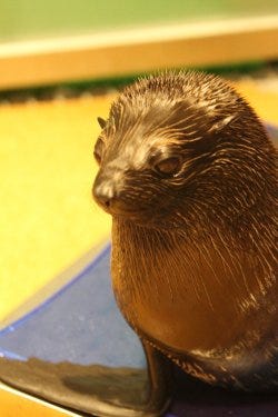 オットセイ 六三四くん 生誕1周年記念イベント開催 東京都 すみだ水族館 マイナビニュース