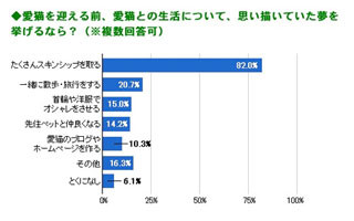 猫を家族に迎えたらしたかったこと第1位は●●!-ペット総研調べ