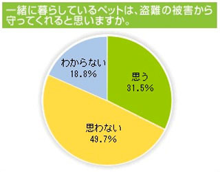 飼い主自慢の映像を募集 どうぶつおもしろ動画コンテスト 開催 マイナビニュース