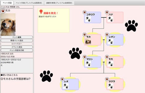 犬 猫の系図を作成できる ペット系図net リリース マイナビニュース