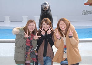 千葉県・鴨川シーワールドで、「笑うアシカと初笑いコンテスト」開催