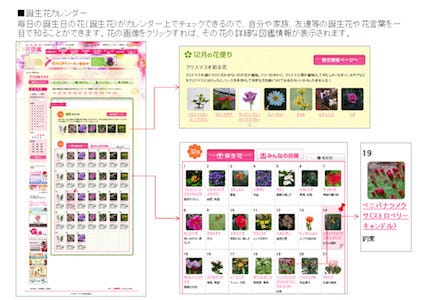 みんなの花図鑑 に 毎日の誕生花が一目でわかる 花カレンダー が登場 マイナビニュース