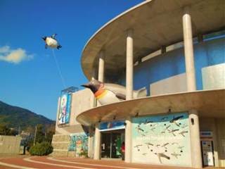 約160羽ものペンギンたち!　長崎県「ペンギン水族館」ってどんなとこ?