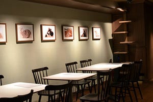 東京都浅草に、お酒も楽しめる猫カフェ「カフェきゃらふ」オープン
