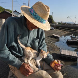 猫パラダイス発見! - 猫と島民が同居する香川県高見島