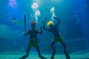 大阪府・海遊館で、節分の鬼がサメの水槽に潜るイベント開催