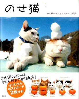 雪だるまや野菜、缶ジュースを猫にのせる「のせ猫」写真集発売