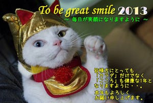 今年は猫年!?　「猫の年賀状写真コンテスト」入賞作品発表