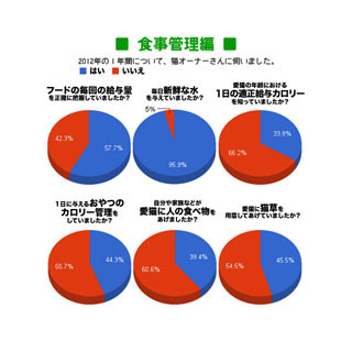 "猫と旅行"、"キャットシッターの利用"が増加していると判明-ペット総研