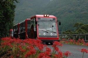 山口県岩国市には、緑豊かな山中をとことこ走るトロッコ列車がある!