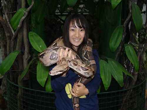 群馬県太田市にあるヘビの動物園で金運 健康運アップ 怖かわいい体験も マイナビニュース