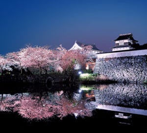 福岡県「福岡城さくらまつり」の会期が、桜の開花が早まったため変更に